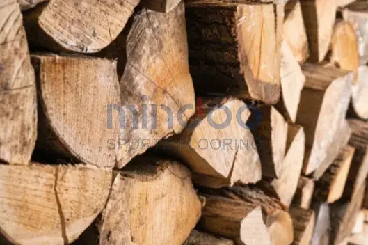 Neatly stacked beech timber Neatly stacked beech timber