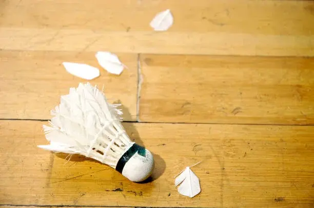 dilapidated badminton wooden floor