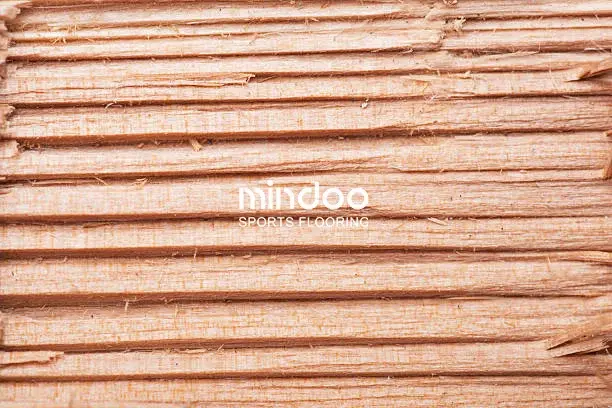 The structural fibers of beech wood