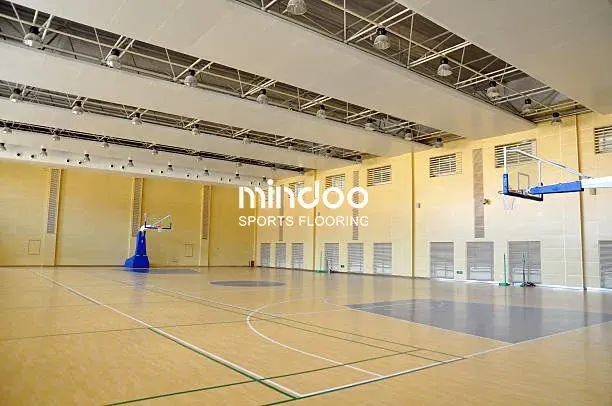 current sports areas-mindoo-professional gym flooring